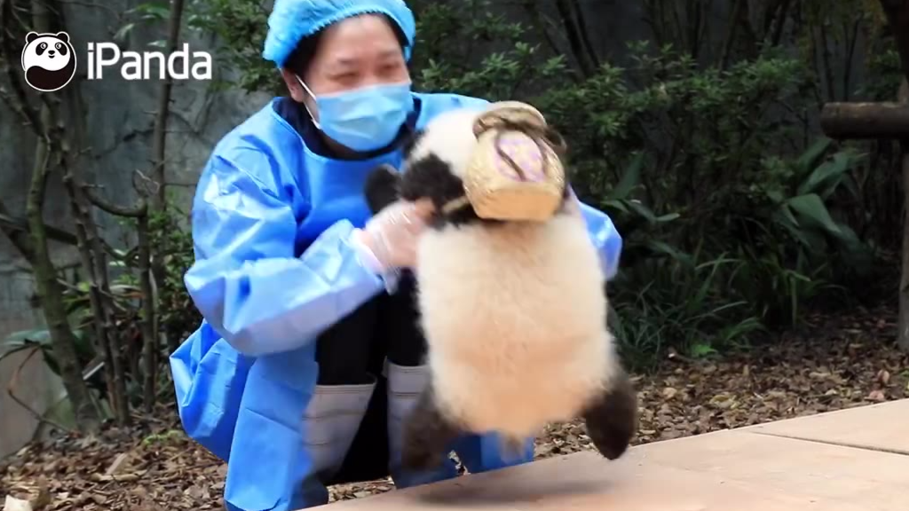 【每日一滚】奶妈,你让我背上小背篓